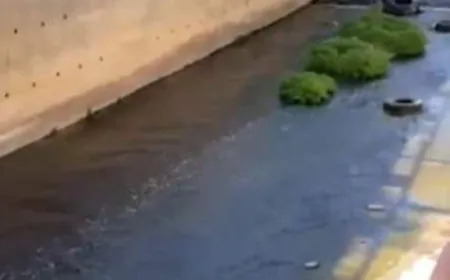 بعد فيديو نهر البردوني.. مصلحة الليطاني تتحرّك مجدداً