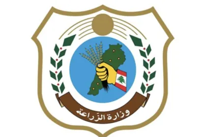 وزارة الزراعة: مفرزة البحث في الجمارك تصادر أكثر من 17 طنًا من الفواكه المهربة وتسلمها للجيش