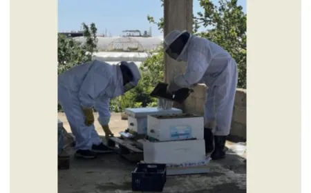 الزراعة" تواكب مربي النحل في عكار: خطوة ميدانية لتعزيز الإنتاج والصمود