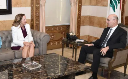 وزير الداخلية استقبل ريزا وفاعليات وبحث مع جونسون في الدعم الأميركي لقوى الأمن