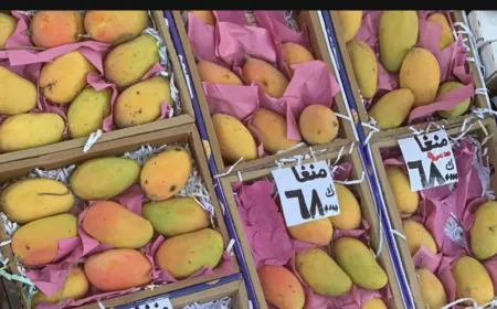 ضبط 12 طناً من المانغا المهرّبة من اليمن إلى لبنان