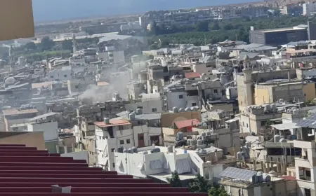 إصابة امرأة خلال اشكال تخلله اطلاق نار في مخيم عين الحلوة