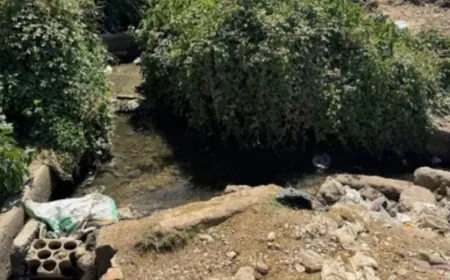 وزارة الزراعة تنهي ملف تلوّث مياه الري الزراعية في بعلبك وتعلن اكتمال المعالجة