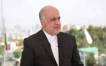 السفير الإيراني: حريصون على دعم استقلال لبنان