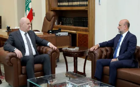 الأوضاع العامة بين الرئيس عون وأبي رميا