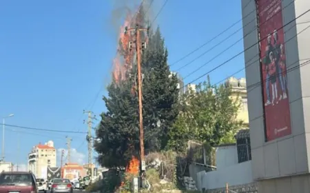 إحتكاك كهربائي وحريق على أوتوستراد جونية!