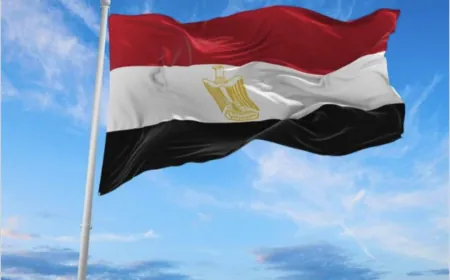 السيسي: مصر "سد منيع" في وجه محاولات تصفية القضية الفلسطينية