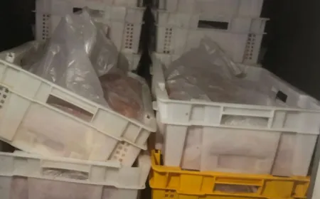 ضبط أطنان من الدجاج المهرّب