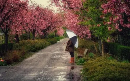 طقس رطب ومتقلب يؤثر على لبنان.. واحتمال ضئيل لتساقط بعض زخات المطر