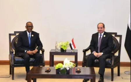 مصر تؤكد دعمها لجهود تسوية النزاعات بالطرق السلمية في أفريقيا