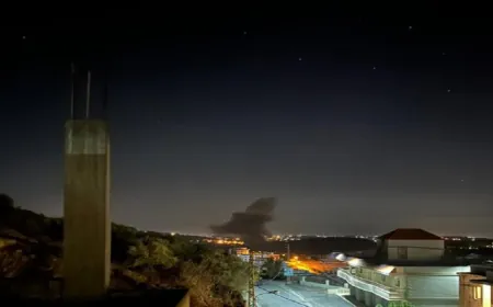 ضحية في استهداف مسيّرة إسرائيلية لمزرعة دواجن