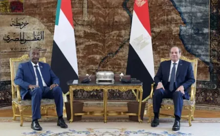 السيسي يبحث مع البرهان التطورات في السودان