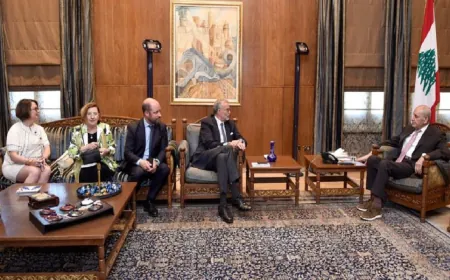 الأوضاع العامة بين بري ووفد مجلس الشيوخ الفرنسي