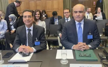 مصر تطالب "العدل الدولية" بإجهاض مخططات إسرائيل بتهجير الفلسطينيين