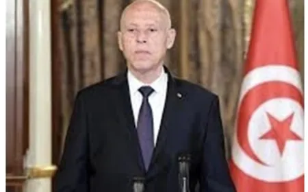الرئيس التونسي يندد بـ"تدخل سافر في الشأن الداخلي" بعد انتقادات خارجية