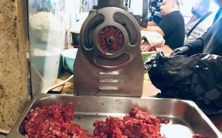 محضر ضبط بحق ملحمة في منطقة المساكن الشعبية قضاء صور