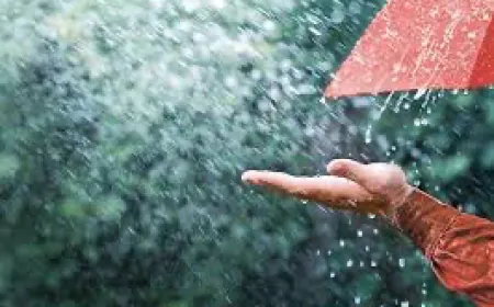 منخفض جوي يؤثر على لبنان وانخفاض في  درجات الحرارة