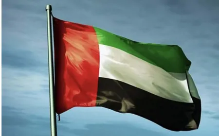 الإمارات تعلن إحباط محاولة تمرير أسلحة للجيش السوداني وتعتقل أعضاء خلية