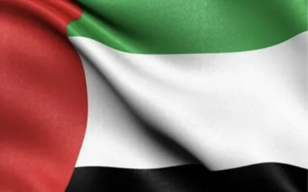 الإمارات تعلن إحباط محاولة تمرير أسلحة للجيش السوداني وتعتقل أعضاء خلية