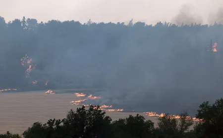 إسرائيل تنشر الجيش للسيطرة على حرائق قرب القدس