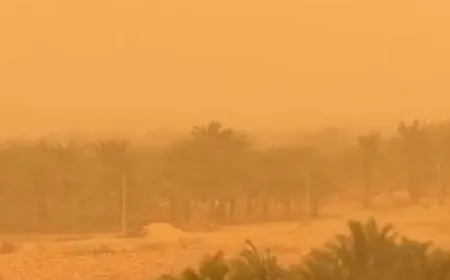 عاصفة ترابية شديدة تضرب مصر.. تعليق الدراسة ورفع درجة الاستعداد بالمستشفيات