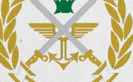 الجيش اللبناني فكّك أكثر من 90 % من بنية حـ ـزب الله في المنطقة الحدودية مع إسرائيل