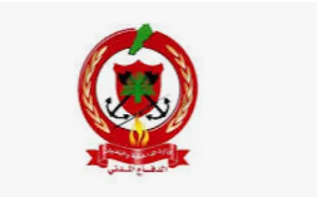 الدفاع المدني تصدي بطولي لنيران تسللت حول احراج وادي سرحمول