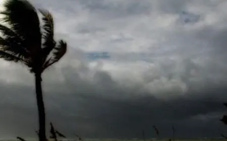 الرياح القوية" تسبب أضراراً جسيمة في عكار!