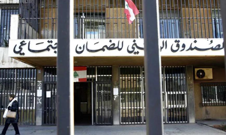 بشرى من الضمان