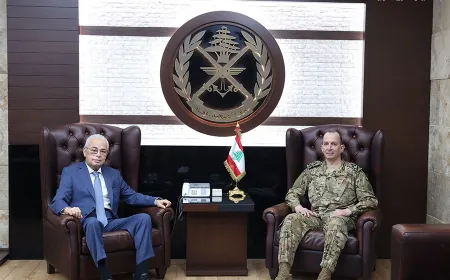 استقبالات العماد قائد الجيش