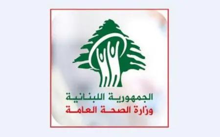 شهيد وجريح في غارة ثانية على ميس الجبل