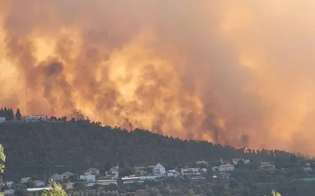 إخلاء أكثر من 9 مستوطنات.. الحرائق في إسرائيل لاتزال مستمرة