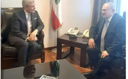 تأكيد العلاقات الثنائية بين وزير الصناعة وسفير هنغاريا