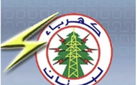 الفاتورة الإلكترونية تقوّض المؤسسة... ومشروع مقدّمي الخدمات "كارثي"!