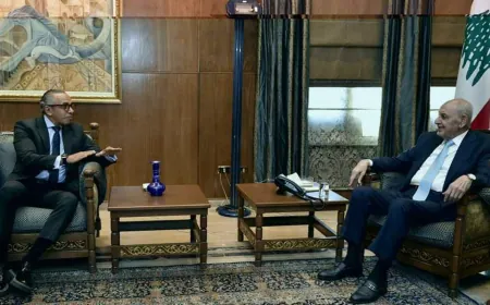 بري تابع مع زواره التطورات... موسى: مصر تدعم تطبيق وقف الأعمال العدائية