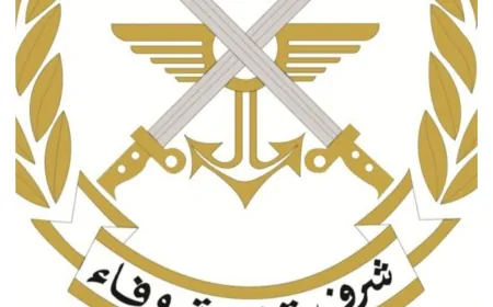 الجيش: توقيف أشخاص في مناطق مختلفة لافتعالهم إشكالًا وإطلاقهم النار