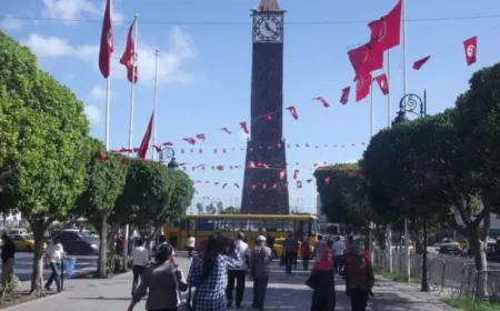 تونس تصدر أحكامًا بالسجن تصل 34 عامًا بحق 8 متهمين في قضية التسفير