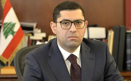 مكاوي: نسبة المشاركة بالإنتخابات منطقية
