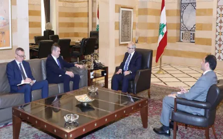 سفير رومانيا: مستعدون لدعم الحكومة اللبنانية