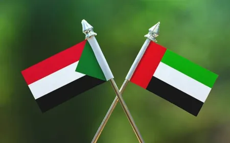 محكمة العدل الدولية ترفض شكوى السودان ضد الإمارات