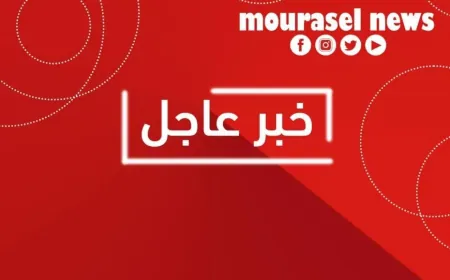 غارة إسرائيلية تستهدف مكب النفايات في بلدة مجدل سلم - جنوب لبنان