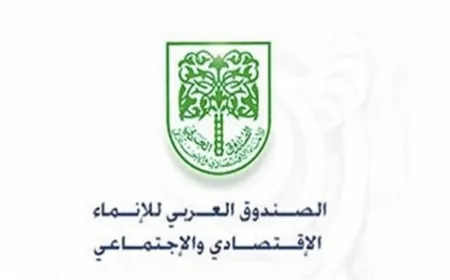 وفد رفيع من الصندوق العربي للإنماء يزور لبنان في أيار