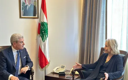 وزير الصناعة يلتقي سفيرة استونيا للبحث بالتطوير التكنولوجي