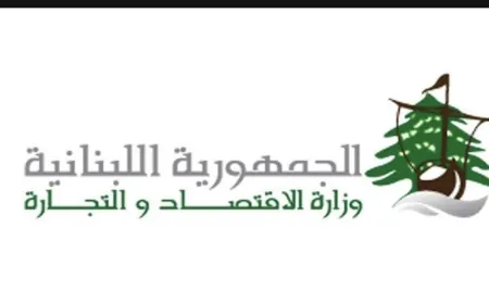 15 محضر ضبط جنوبًا في حق أصحاب مولدات مخالفين لتسعيرة وزارة الطاقة