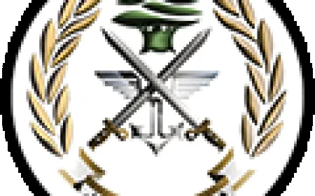 توقيف مطلوبين بجرم إطلاق النار وتهريب الأسلحة الحربية والاتجار بها وتعاطي المخدرات وترويجها