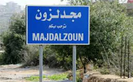 إصابة شخص إثر استهداف مسيّرة إسرائيلية لمنزل مدمر في جنوب لبنان