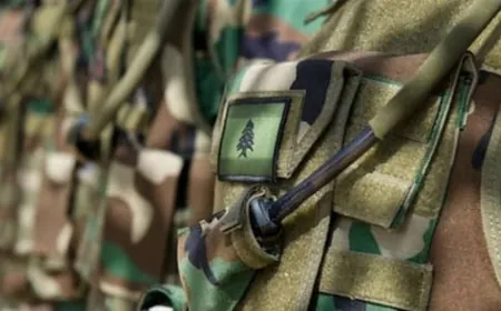 الجيش يوقف مطلوبين بجرم إطلاق النار