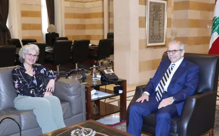 سلام بحث مع وزيرة التربية عددا من الملفات التربوية