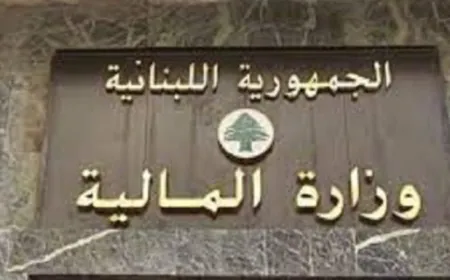 فريق من المالية للتدقيق في توريد أموال شركات تحويل الأموال