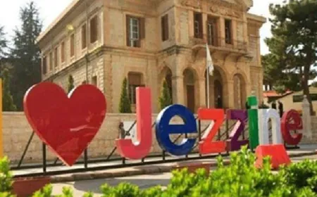 طيران حربي فوق جزين